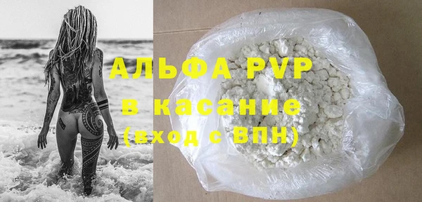 прущие грибы Великий Новгород