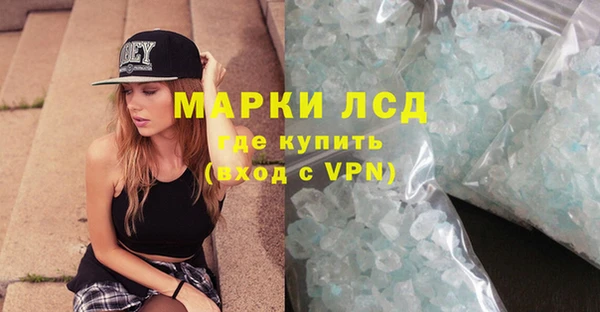 прущие грибы Великий Новгород