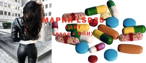 прущие грибы Великий Новгород