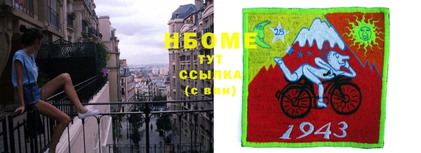 прущие грибы Великий Новгород