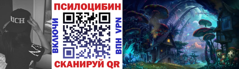 Галлюциногенные грибы Psilocybe  Купить где  Новосокольники 